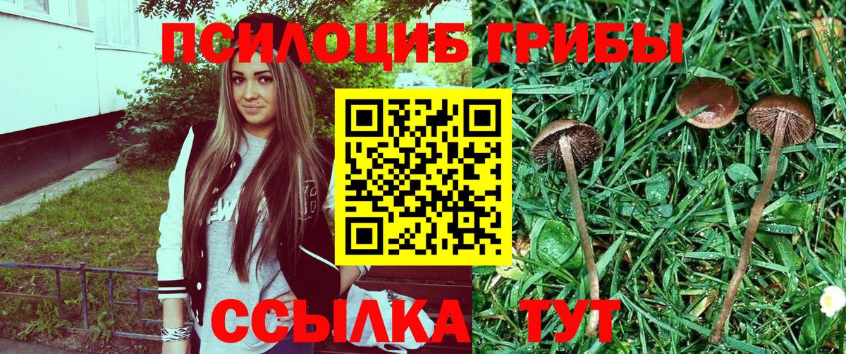 Галлюциногенные грибы Psilocybine cubensis  Вход с VPN  Ипатово 